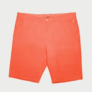 Arthur shorts - korall