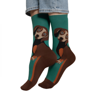 Bleuforét Socka – Hund