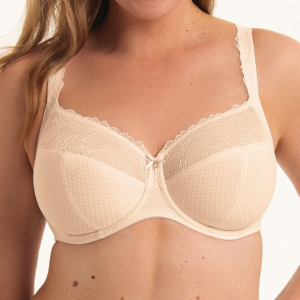 Rosa Faia Eloise – Rose